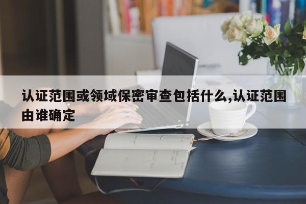 认证范围或领域保密审查包括什么,认证范围由谁确定