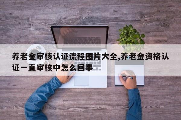 养老金审核认证流程图片大全,养老金资格认证一直审核中怎么回事